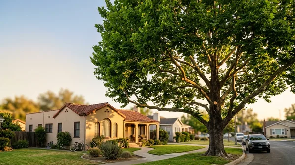 Team Stockton Tree Service in Stockton